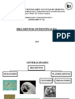Seminario 22 PDF