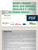 Promover o Ens. Exp. Ciências - Planificação e Protocolos T1