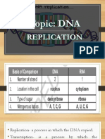 DNA and RNA