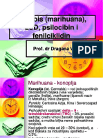 Kanabis, LSD, Psilocibin I Fenilciklidin