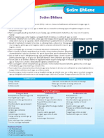 Bua Na Cainte 4 Editable Lesson Plans 1