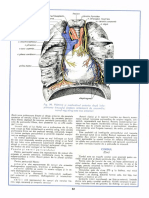 Cardio Ifrim.pdf