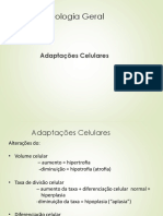 Adaptações-Celulares.pptx
