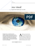 Sistema visual y percepción: proceso cognitivo en la corteza visual