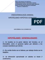 Final endocrinología, hipotálamo, hipófisis, gonada.pptx