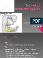 Embriologi Pernapasan1