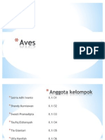 Download Aves by Shandy Kurniawan SN44309355 doc pdf