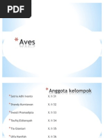 Download Aves by Shandy Kurniawan SN44309355 doc pdf
