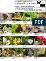 687 Mariposas Del Tablazo PDF