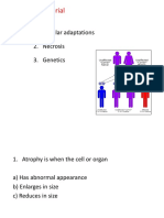 BMS291 Tutorial2