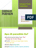 Jaringan Parenkim