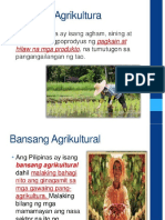 Sektor NG Agrikultura