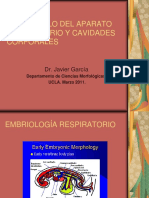 embriologia aparato respiratorio