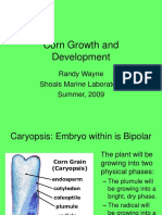 Lecture 2 Plant Growth and Development