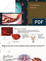 Cirulatory System