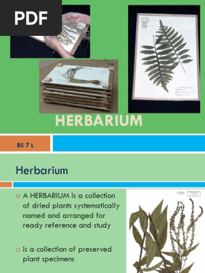 Herbarium