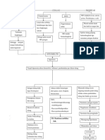 Pathway Osmteomielitis