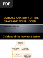 Download Surface Anatomy of the Brain and Spinal Cord by Dada Mesina SN44312938 doc pdf