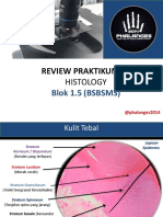 Review Praktikum Histology BSBSMS 1