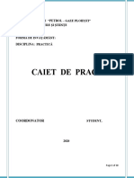 Caiet-practica Primaria Barcanesti 2020.docx