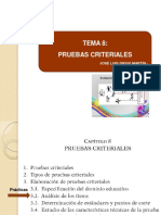 30683697-T8 - Pruebas Criteriales