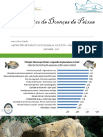 Apresentação IUDAA