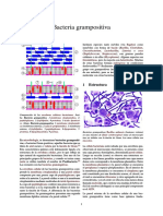 Bacteria grampositiva.pdf