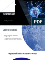 Neurobiología PDF