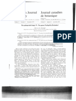 Pachyella Pfister-1973-The-psilopezioid-fungi-IV-Pachyella-0001