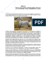 07_11_54_TEMA30 razas de caballos.pdf