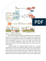 Patofisiologi 1 Gbs