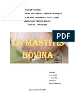 Mastitis Bovina