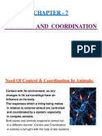 Control and Coordination 2
