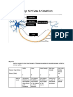 Neurons Stop Motion Animation