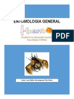 entomologia.pdf