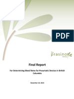 Prasino Final Report20140131
