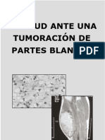 tumoracion_partes_blandas_castellano