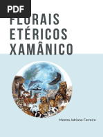 uploads_1563468931338-25wa3kgs10x-b691805adc88cffce03faa575bb20543_Florais+Etéricos+Xamânico+-+Turma+2