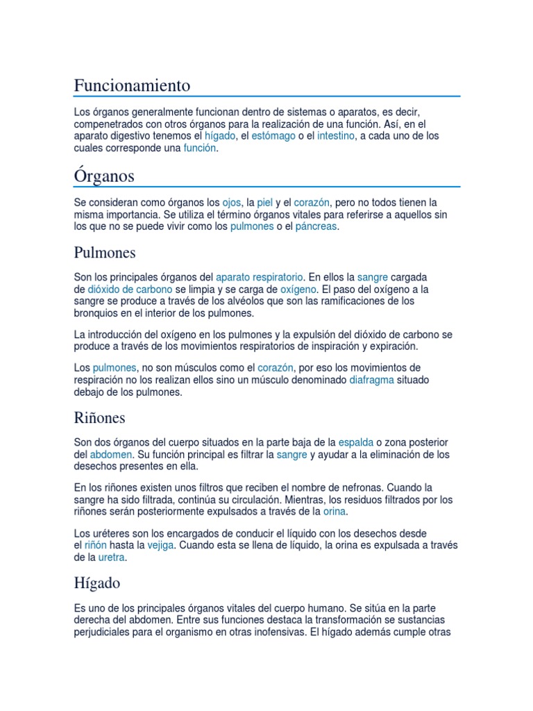 Funcionamiento | PDF | Pulmón | Riñón