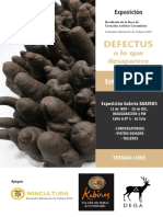 AFICHE DEFECTS.pdf