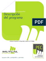 descripcion_programa_pec_autogestion (1).pdf