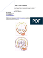 TABLAS DE ENFERMEDADES DE HAMER.pdf