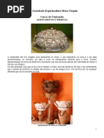 55 - Assentamentos e Firmezas