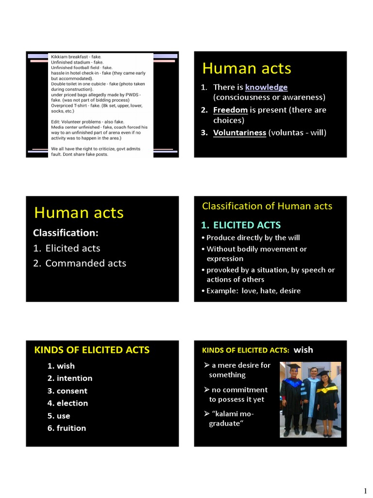 5 Classification of Human Acts PDF PDF Mind Emergence