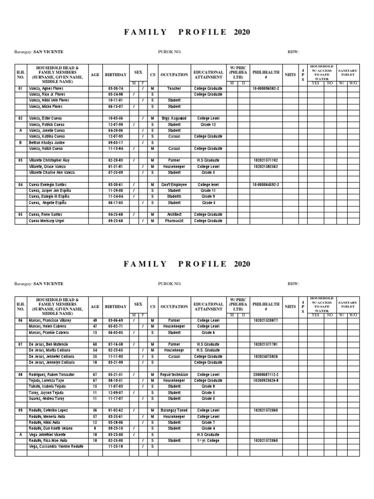 Family Profile Data for Barangay San Vicente | PDF | Human Reproduction