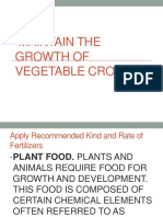 Maintain The Growth of Vegetable Crops