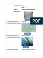 Algae Protista Klasifikasi Pigmen dan Gambar Spesies