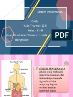 Sistem Pencernaan Baru Tiya