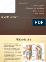 Osteokinematik Knee Joint