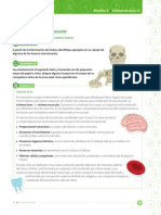 sistema oseo y muscular.pdf